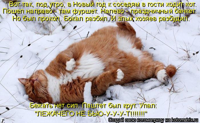 Вот так, под утро, в Новый год к соседям в гости ходит кот. Пошел направо - там фуршет. Налево - праз... Котоматрица: Вот так, под утро, в Новый год к соседям в гости ходит кот. Пошел направо - там фуршет. Налево - праздничный банкет. Но был прокол. Бокал разбил.