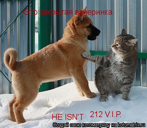 -Это закрытая вечеринка HE ISN'T 212 V.I.P.... Котоматрица: -Это закрытая вечеринка HE ISN'T 212 V.I.P.
