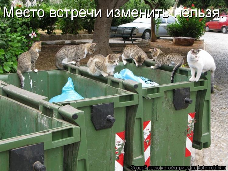 Место встречи изменить нельзя.... Котоматрица: Место встречи изменить нельзя.