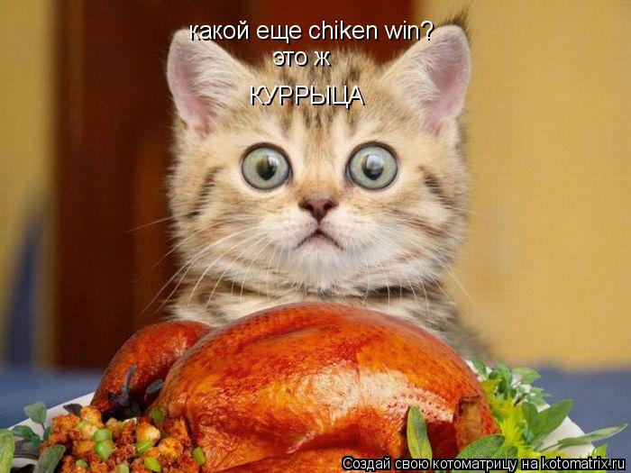 какой еще chiken win? это ж КУРРЫЦА... Котоматрица: какой еще chiken win? это ж КУРРЫЦА