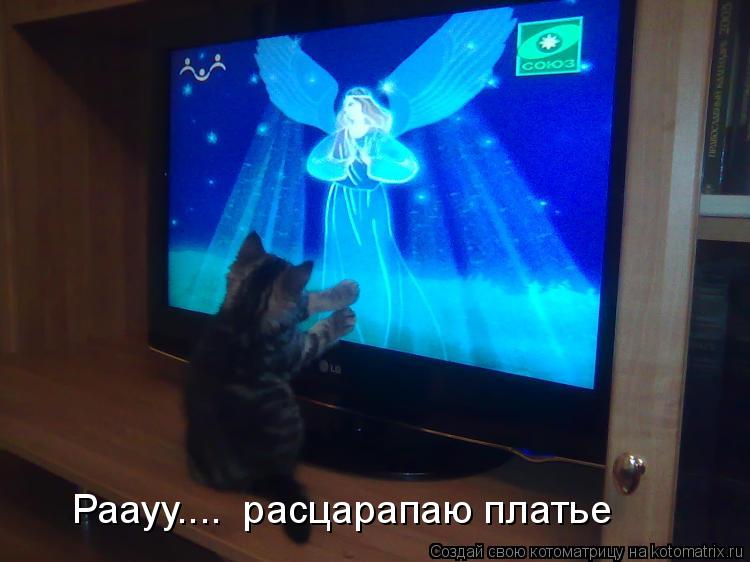 Раауу.... расцарапаю платье... Котоматрица: Раауу.... расцарапаю платье