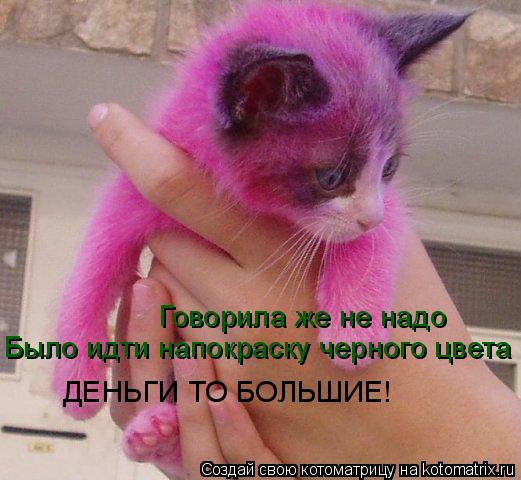 Говорила же не надо Было идти напокраску черного цвета ДЕНЬГИ ТО БОЛЬШИЕ!... Котоматрица: Говорила же не надо Было идти напокраску черного цвета ДЕНЬГИ ТО БОЛЬШИЕ!