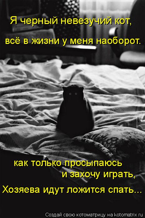 Я черный невезучий кот, всё в жизни у меня наоборот. и захочу играть, как только просыпаюсь Хозяева и... Котоматрица: Я черный невезучий кот, всё в жизни у меня наоборот. и захочу играть, как только просыпаюсь Хозяева идут ложится спать...