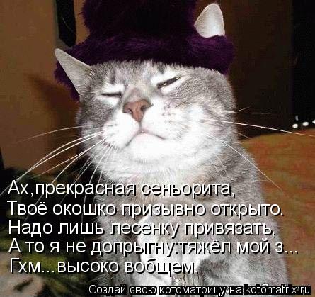 Ах,прекрасная сеньорита, Твоё окошко призывно открыто. Надо лишь лесенку привязать, А то я не допрыгн... Котоматрица: Ах,прекрасная сеньорита, Твоё окошко призывно открыто. Надо лишь лесенку привязать, А то я не допрыгну:тяжёл мой з... Гхм...высоко вобщем.