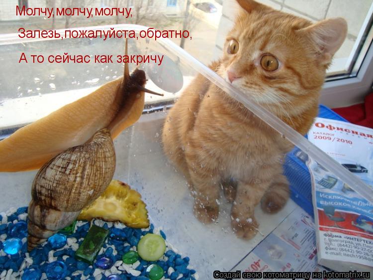 Молчу,молчу,молчу, Залезь,пожалуйста,обратно, А то сейчас как закричу... Котоматрица: Молчу,молчу,молчу, Залезь,пожалуйста,обратно, А то сейчас как закричу