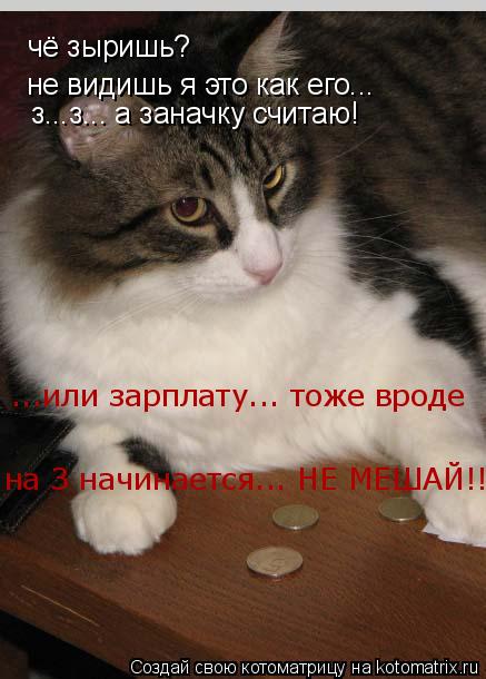 чё зыришь? не видишь я это как его... з...з... а заначку считаю! ...или зарплату... тоже вроде на З ... Котоматрица: чё зыришь? не видишь я это как его... з...з... а заначку считаю! ...или зарплату... тоже вроде на З начинается... НЕ МЕШАЙ!!!
