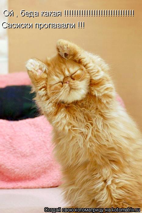 Ой , беда какая !!!!!!!!!!!!!!!!!!!!!!!!!!!!! Сасиски пропааали !!!... Котоматрица: Ой , беда какая !!!!!!!!!!!!!!!!!!!!!!!!!!!!! Сасиски пропааали !!!