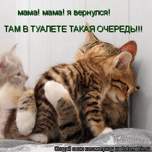 мама! мама! я вернулся! ТАМ В ТУАЛЕТЕ ТАКАЯ ОЧЕРЕДЬ!!!... Котоматрица: мама! мама! я вернулся! ТАМ В ТУАЛЕТЕ ТАКАЯ ОЧЕРЕДЬ!!!