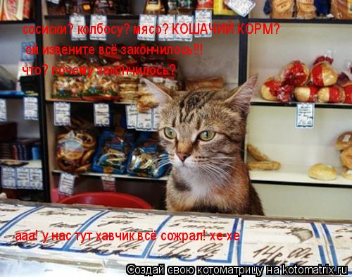 сосиски? колбосу? мясо? КОШАЧИЙ КОРМ? ой извените всё закончилось!!! что? почему закончилось? ааа! у... Котоматрица: сосиски? колбосу? мясо? КОШАЧИЙ КОРМ? ой извените всё закончилось!!! что? почему закончилось? ааа! у нас тут хавчик всё сожрал! хе-хе