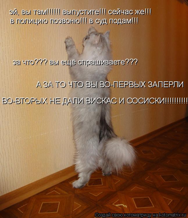 эй, вы там!!!!!! выпустите!!! сейчас же!!! в полицию позвоню!!! в суд подам!!! за что??? вы ещё спраш... Котоматрица: эй, вы там!!!!!! выпустите!!! сейчас же!!! в полицию позвоню!!! в суд подам!!! за что??? вы ещё спрашиваете??? А ЗА ТО ЧТО ВЫ ВО-ПЕРВЫХ ЗАПЕРЛИ ВО-ВТ