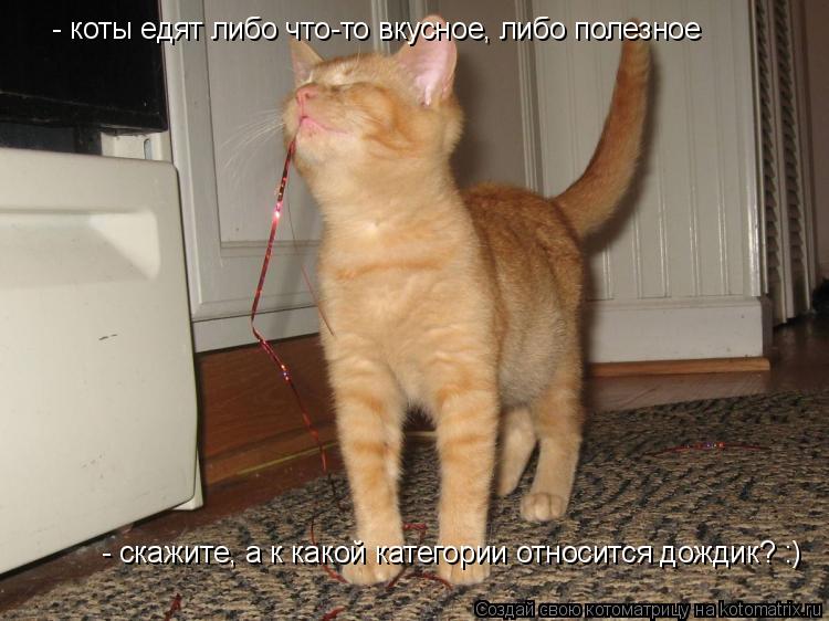 - коты едят либо что-то вкусное, либо полезное - скажите, а к какой категории относится дождик? :)... Котоматрица: - коты едят либо что-то вкусное, либо полезное - скажите, а к какой категории относится дождик? :)