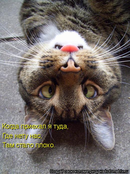 Когда приехал я туда, Где нету нас, Там стало плохо.... Котоматрица: Когда приехал я туда, Где нету нас, Там стало плохо.