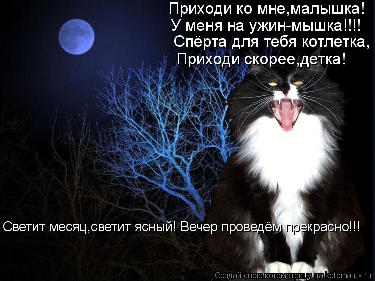 Приходи ко мне,малышка! У меня на ужин-мышка!!!! Спёрта для тебя котлетка, Приходи скорее,детка! Свет... Котоматрица: Приходи ко мне,малышка! У меня на ужин-мышка!!!! Спёрта для тебя котлетка, Приходи скорее,детка! Светит месяц,светит ясный! Вечер проведём пре