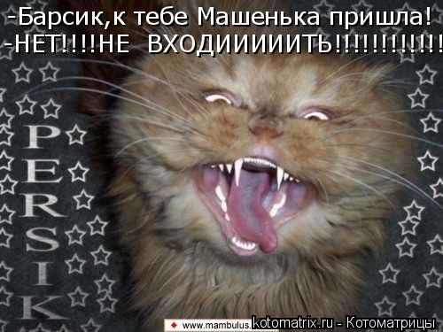 -Барсик,к тебе Машенька пришла! -НЕТ!!!!НЕ ВХОДИИИИИТЬ!!!!!!!!!!!!... Котоматрица: -Барсик,к тебе Машенька пришла! -НЕТ!!!!НЕ ВХОДИИИИИТЬ!!!!!!!!!!!!