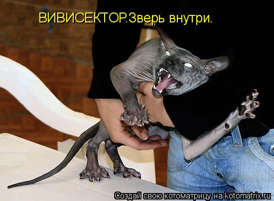ВИВИСЕКТОР.Зверь внутри.... Котоматрица: ВИВИСЕКТОР.Зверь внутри.