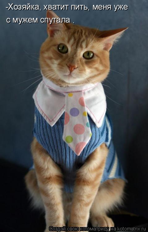 -Хозяйка, хватит пить, меня уже с мужем спутала с мужем спутала .... Котоматрица: -Хозяйка, хватит пить, меня уже с мужем спутала с мужем спутала .