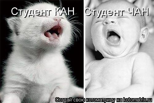Студент КАН Студент ЧАН... Котоматрица: Студент КАН Студент ЧАН