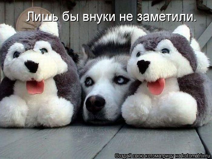 Лишь бы внуки не заметили.... Котоматрица: Лишь бы внуки не заметили.