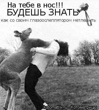 На тебе в нос!!! БУДЕШЬ ЗНАТЬ как со своим глазоослеплятором метлешить... Котоматрица: На тебе в нос!!! БУДЕШЬ ЗНАТЬ как со своим глазоослеплятором метлешить