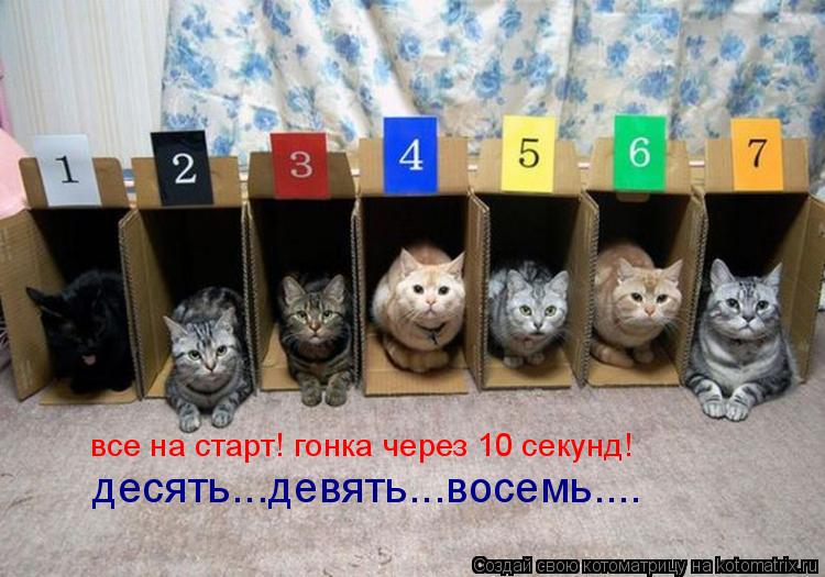 все на старт! гонка через 10 секунд! десять...девять...восемь....... Котоматрица: все на старт! гонка через 10 секунд! десять...девять...восемь....