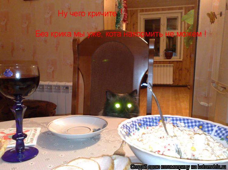 Ну чего кричите ! Без крика мы уже, кота накормить не можем !... Котоматрица: Ну чего кричите ! Без крика мы уже, кота накормить не можем !