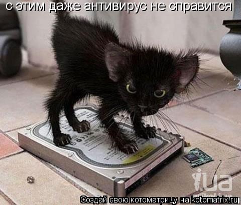 с этим даже антивирус не справится... Котоматрица: с этим даже антивирус не справится