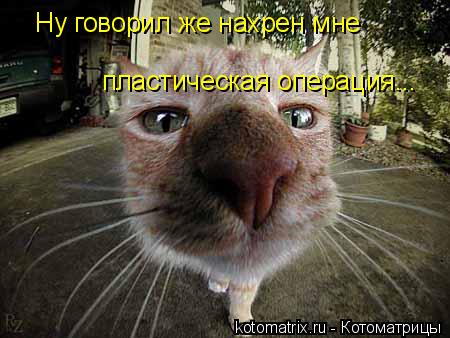 Ну говорил же нахрен мне пластическая операция...... Котоматрица: Ну говорил же нахрен мне пластическая операция...
