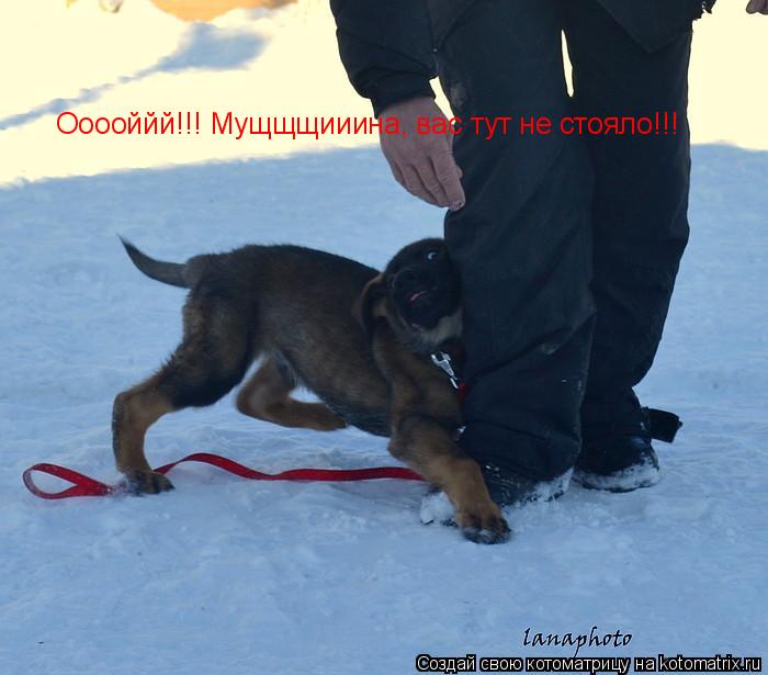 Ооооййй!!! Мущщщииина, вас тут не стояло!!!... Котоматрица: Ооооййй!!! Мущщщииина, вас тут не стояло!!!