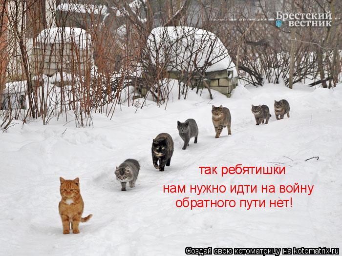 так ребятишки нам нужно идти на войну так ребятишки обратного пути нет!... Котоматрица: так ребятишки нам нужно идти на войну так ребятишки обратного пути нет!