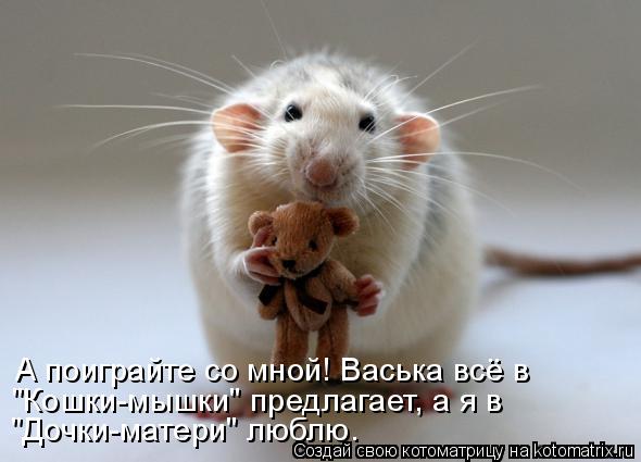А поиграйте со мной! Васька всё в "Кошки-мышки" предлагает, а я в "Дочки-матери" люблю.... Котоматрица: А поиграйте со мной! Васька всё в "Кошки-мышки" предлагает, а я в "Дочки-матери" люблю.