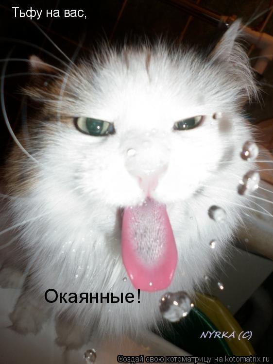 Тьфу на вас, Окаянные!... Котоматрица: Тьфу на вас, Окаянные!