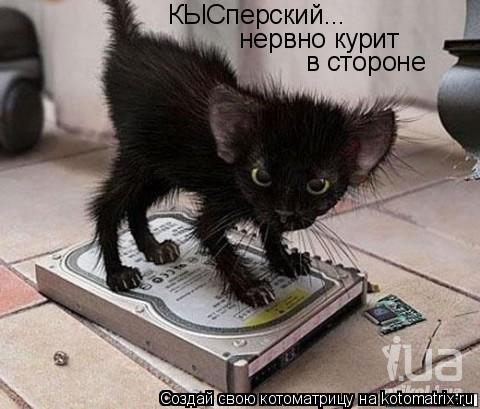 КЫСперский... нервно курит в стороне... Котоматрица: КЫСперский... нервно курит в стороне
