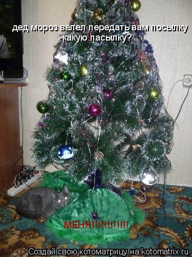 дед мороз велел передать вам посылку -какую пасылку? МЕНЯ!!!!!!!!!!!!... Котоматрица: дед мороз велел передать вам посылку -какую пасылку? МЕНЯ!!!!!!!!!!!!