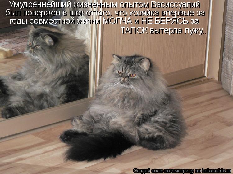 Умудрённейший жизненным опытом Васиссуалий был повержен в шок оттого, что хозяйка впервые за годы сов... Котоматрица: Умудрённейший жизненным опытом Васиссуалий был повержен в шок оттого, что хозяйка впервые за годы совместной жизни МОЛЧА и НЕ БЕРЯСЬ за ТА
