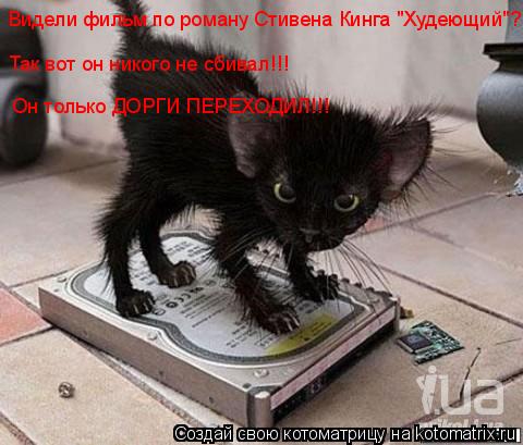 Видели фильм по роману Стивена Кинга "Худеющий"?! Так вот он никого не сбивал!!! Он только ДОРГИ ПЕРЕ... Котоматрица: Видели фильм по роману Стивена Кинга "Худеющий"?! Так вот он никого не сбивал!!! Он только ДОРГИ ПЕРЕХОДИЛ!!!