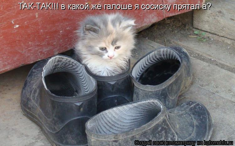 Котоматрица: ТАК-ТАК!!! в какой же галоше я сосиску прятал а?