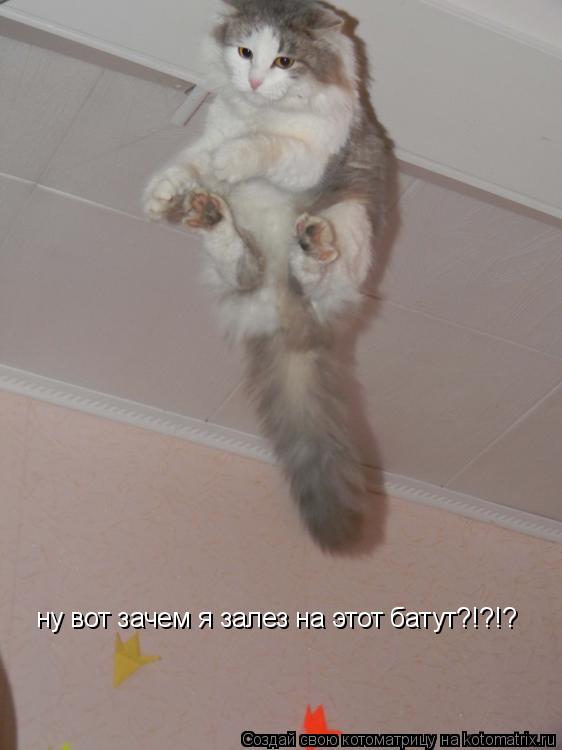 Котоматрица: ну вот зачем я залез на этот батут?!?!?