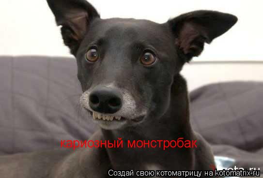 Котоматрица: кариозный монстробак