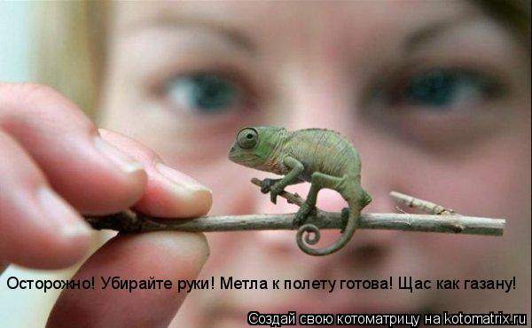 Осторожно! Убирайте руки! Метла к полету готова! Щас как газану!... Котоматрица: Осторожно! Убирайте руки! Метла к полету готова! Щас как газану!