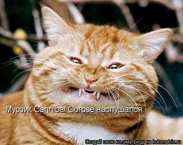 Мурзик Cannibal Corpse наслушался.... Котоматрица: Мурзик Cannibal Corpse наслушался.