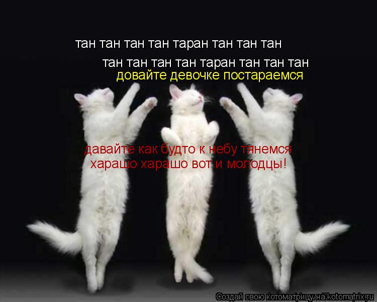 тан тан тан тан таран тан тан тан тан тан тан тан таран тан тан тан довайте девочке постараемся дав... Котоматрица: тан тан тан тан таран тан тан тан тан тан тан тан таран тан тан тан довайте девочке постараемся давайте как будто к небу тянемся харашо хар