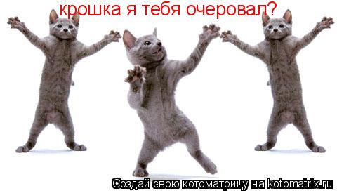 крошка я тебя очеровал? крошка я тебя очеровал?... Котоматрица: крошка я тебя очеровал? крошка я тебя очеровал?