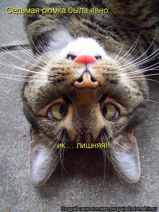 Седьмая рюмка была явно.... ик.... лишняя!!... Котоматрица: Седьмая рюмка была явно.... ик.... лишняя!!