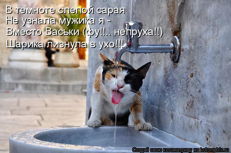В темноте слепой сарая Не узнала мужика я - Вместо Васьки (фу!!.. непруха!!) Шарика лизнула в ухо!!!... Котоматрица: В темноте слепой сарая Не узнала мужика я - Вместо Васьки (фу!!.. непруха!!) Шарика лизнула в ухо!!!