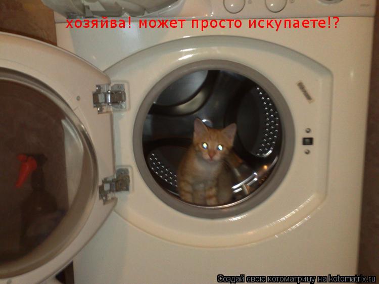 Котоматрица: хозяйва! может просто искупаете!?