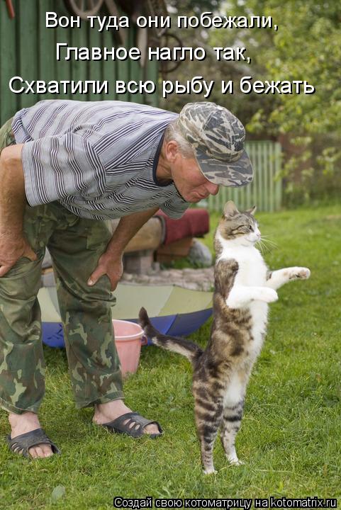 Вон туда они побежали, Главное нагло так, Схватили всю рыбу и бежать... Котоматрица: Вон туда они побежали, Главное нагло так, Схватили всю рыбу и бежать