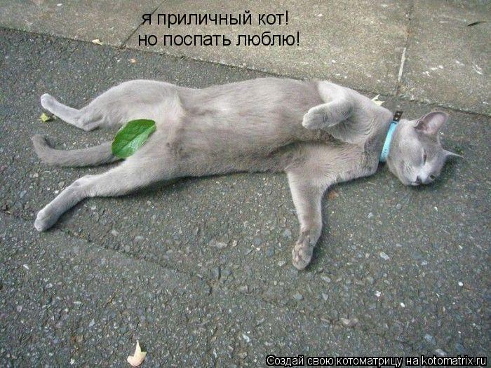 Котоматрица: я приличный кот! но поспать люблю!