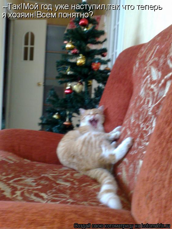 Котоматрица: --Так!Мой год уже наступил,так что теперь я хозяин!Всем понятно?