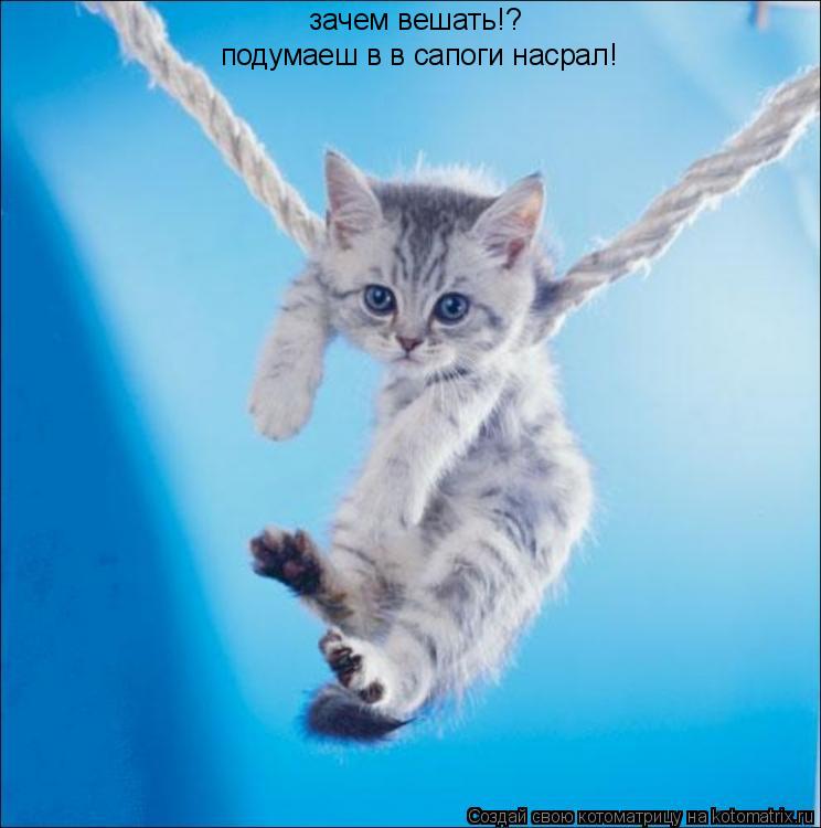 Котоматрица: зачем вешать!? подумаеш в в сапоги насрал!