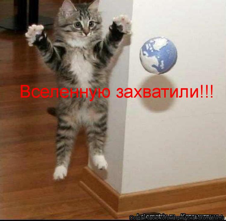 Котоматрица: Вселенную захватили!!!